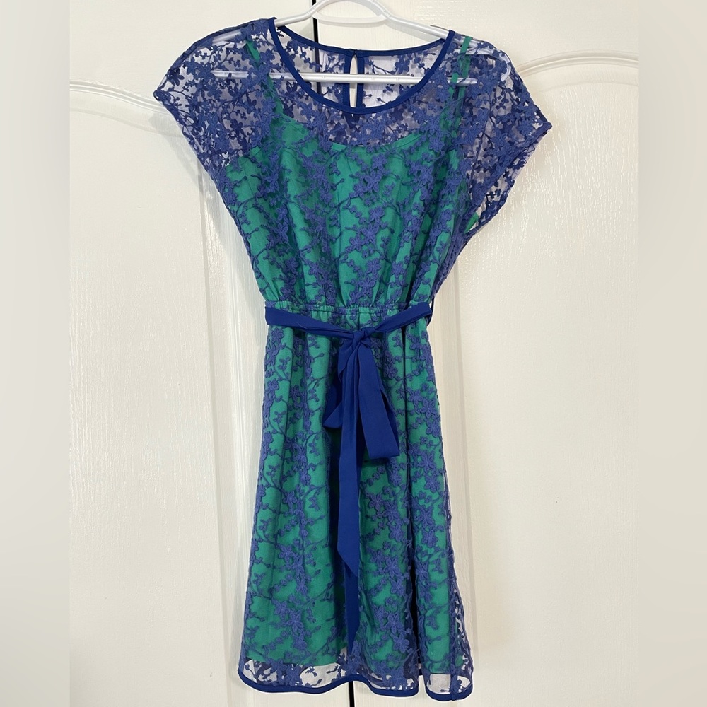 Gorgeous Boutique Dress!